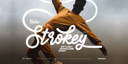 Strokey Font Poster 1