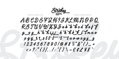 Strokey Font Poster 6