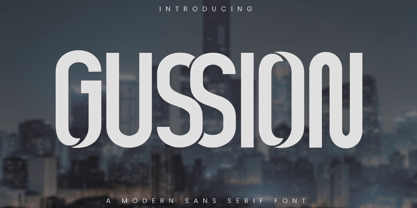 Gussian Font Poster 9