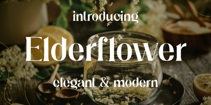 Elderflower Fuente Póster 1