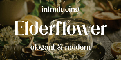 Elderflower Font Poster 1