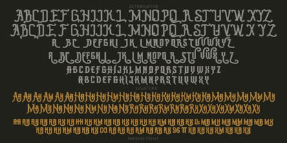 Mesho Font Poster 13