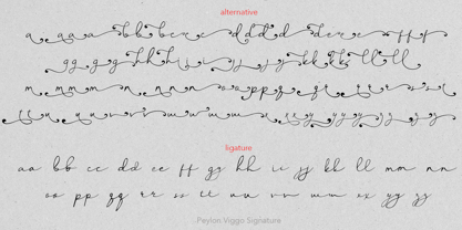 Peylon Viggo Signature Font Poster 10