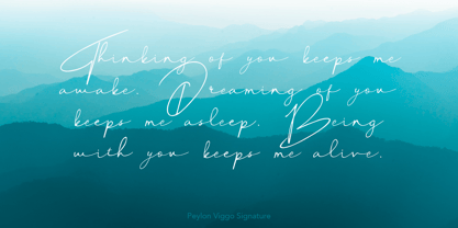 Peylon Viggo Signature Font Poster 3