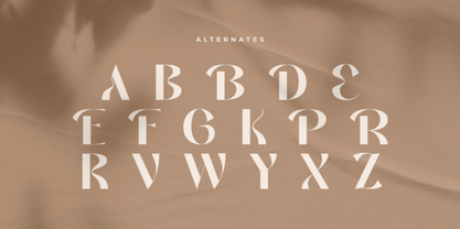 Aldora Style Font Poster 9