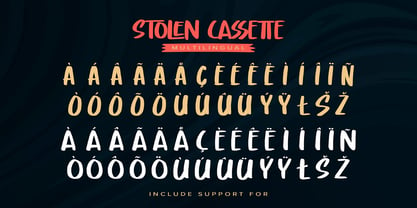 Stolen Cassette Font Poster 7