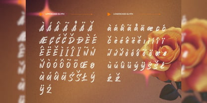 Tefrisne Font Poster 4