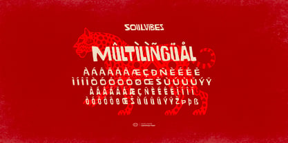 Soulvibes Font Poster 7