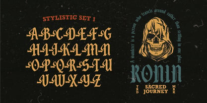 Saltblack combat Font Poster 8