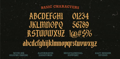 Saltblack combat Font Poster 6