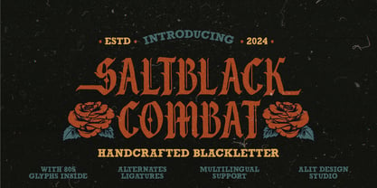 Saltblack combat Font Poster 1