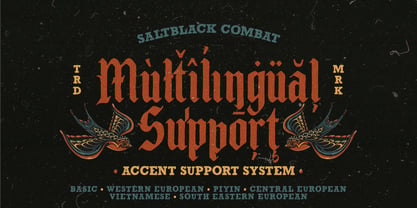 Saltblack combat Font Poster 15