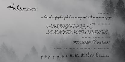 Halimun Script Style Font Poster 11