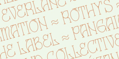 Arigator Font Poster 12