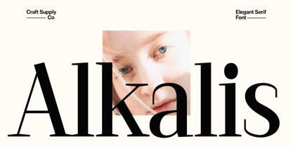 Alkalis Font Poster 1
