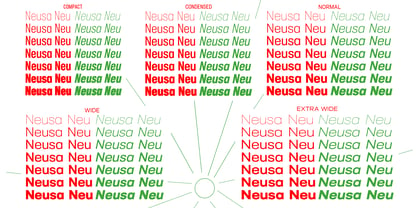 Neusa Neu Font Poster 2