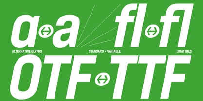 Neusa Neu Font Poster 3