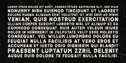 Thelor Cevlok Font Poster 7