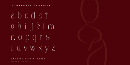 Volatile Serif Font Poster 12