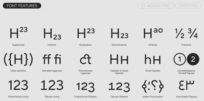 TT Norms Pro Font Poster 12