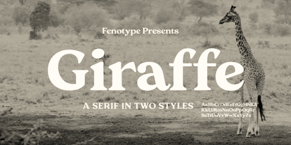 Giraffe Font Poster 11