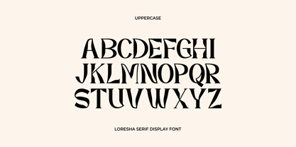 Loresha Serif Display Font Poster 5