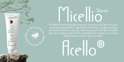 Acello Rough Font Poster 4