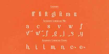 Save Bright Font Poster 12