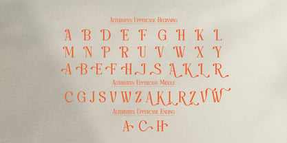 Save Bright Font Poster 13