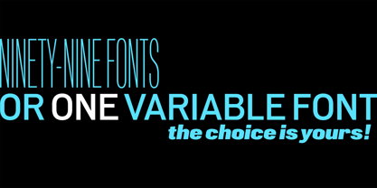 PG Grotesque Variable Font Poster 11