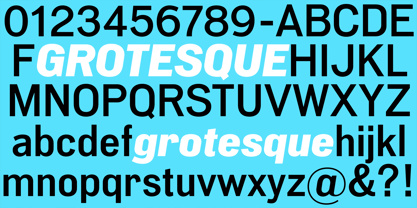 PG Grotesque Variable Font Poster 6