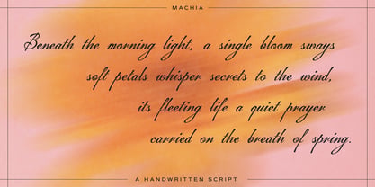 Machia Font Poster 2