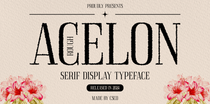 Acelon Rough Font Poster 1