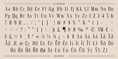 Acelon Rough Font Poster 6