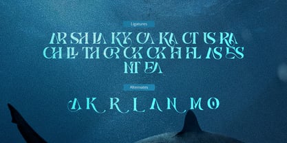 Sharky Font Poster 11