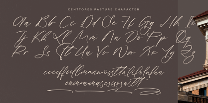 Centtores Pasture Font Poster 8