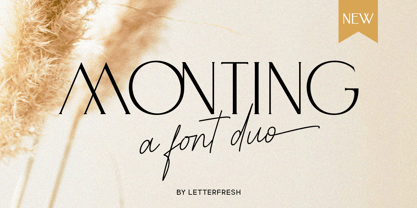 Monting Serif Font Poster 1