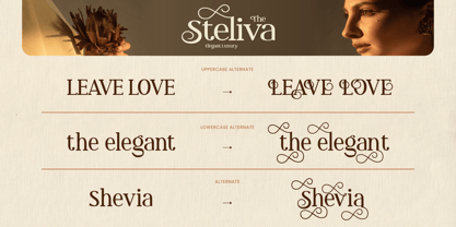 Steliva Font Poster 5