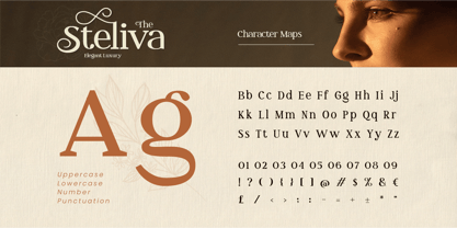 Steliva Font Poster 2