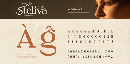 Steliva Font Poster 10