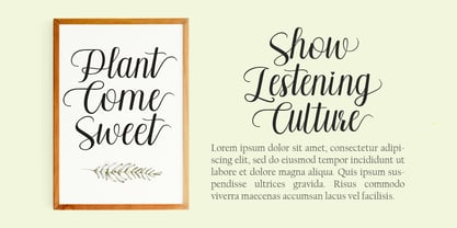 Pilletta Font Poster 6