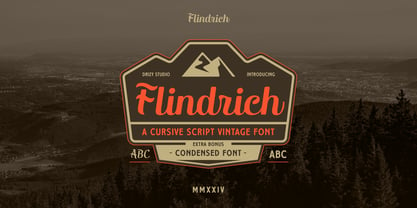 Flindrich Police Affiche 1