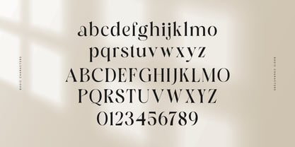 Victorian Radiance Font Poster 13