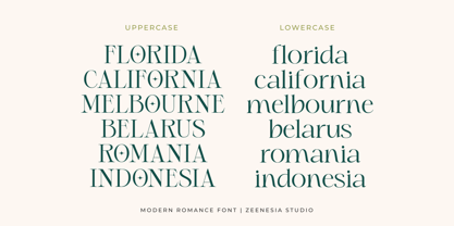 Modern Romance Font Poster 10