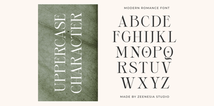 Modern Romance Font Poster 13