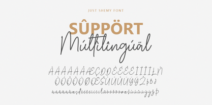 Just Shemy Font Poster 7