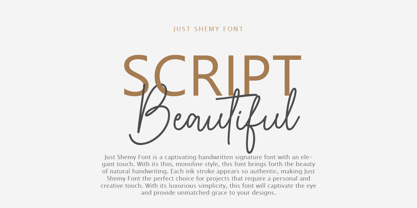 Just Shemy Font Poster 2