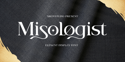 Misologist Font Poster 1