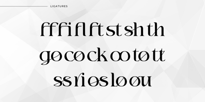 Misologist Font Poster 13