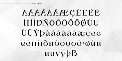 Misologist Font Poster 11